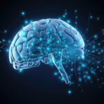 Neuropsychotherapie: „Alles bio oder was?“